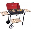 Barbecue elettrico e carbone DCG BQS2498